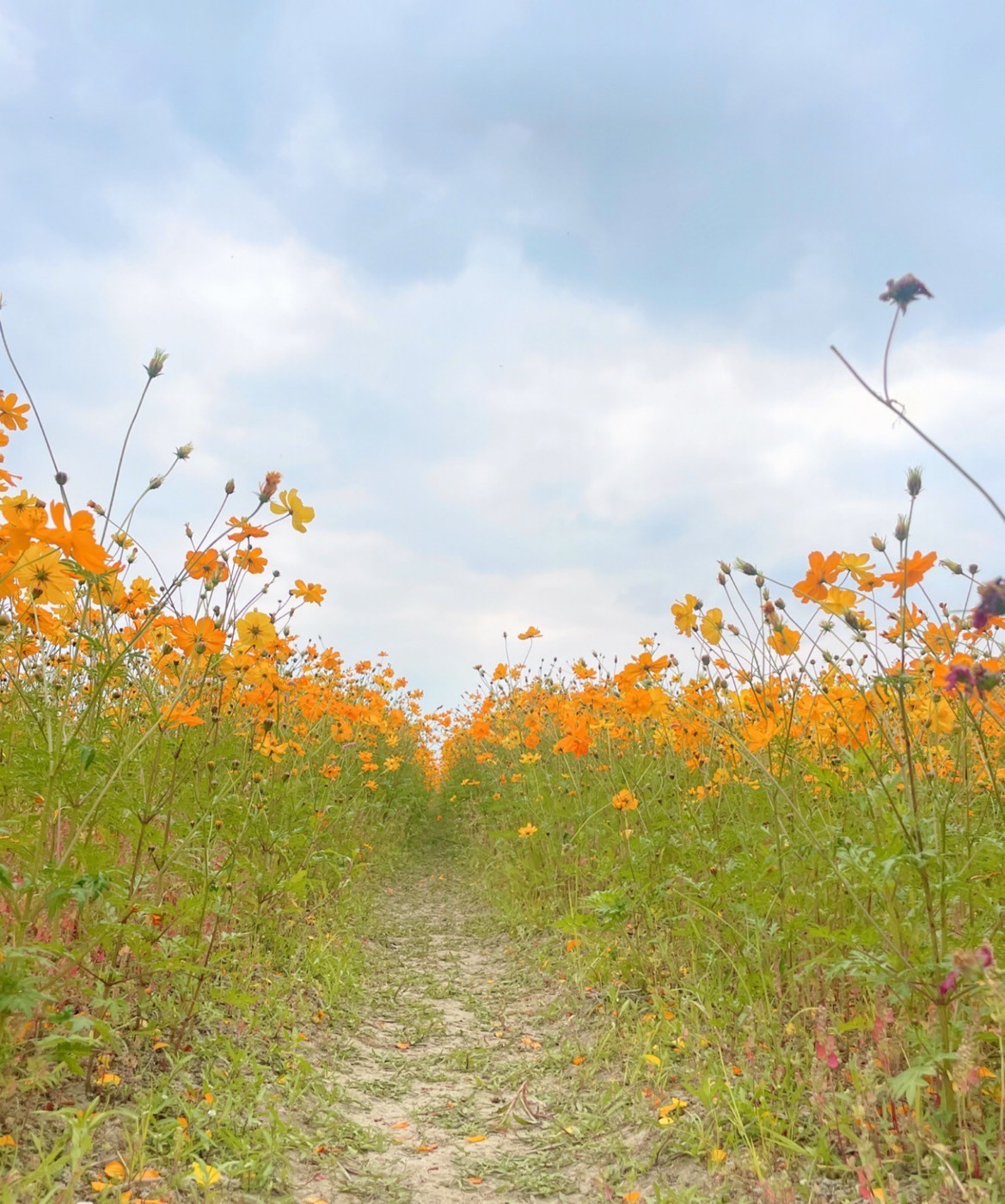 疼愛自己的起點